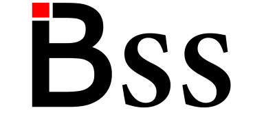 BSS Power 