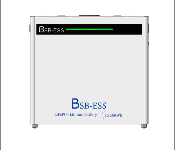 (15.56kWh) BSB-ESS 51.2V 304Ah - Luxury