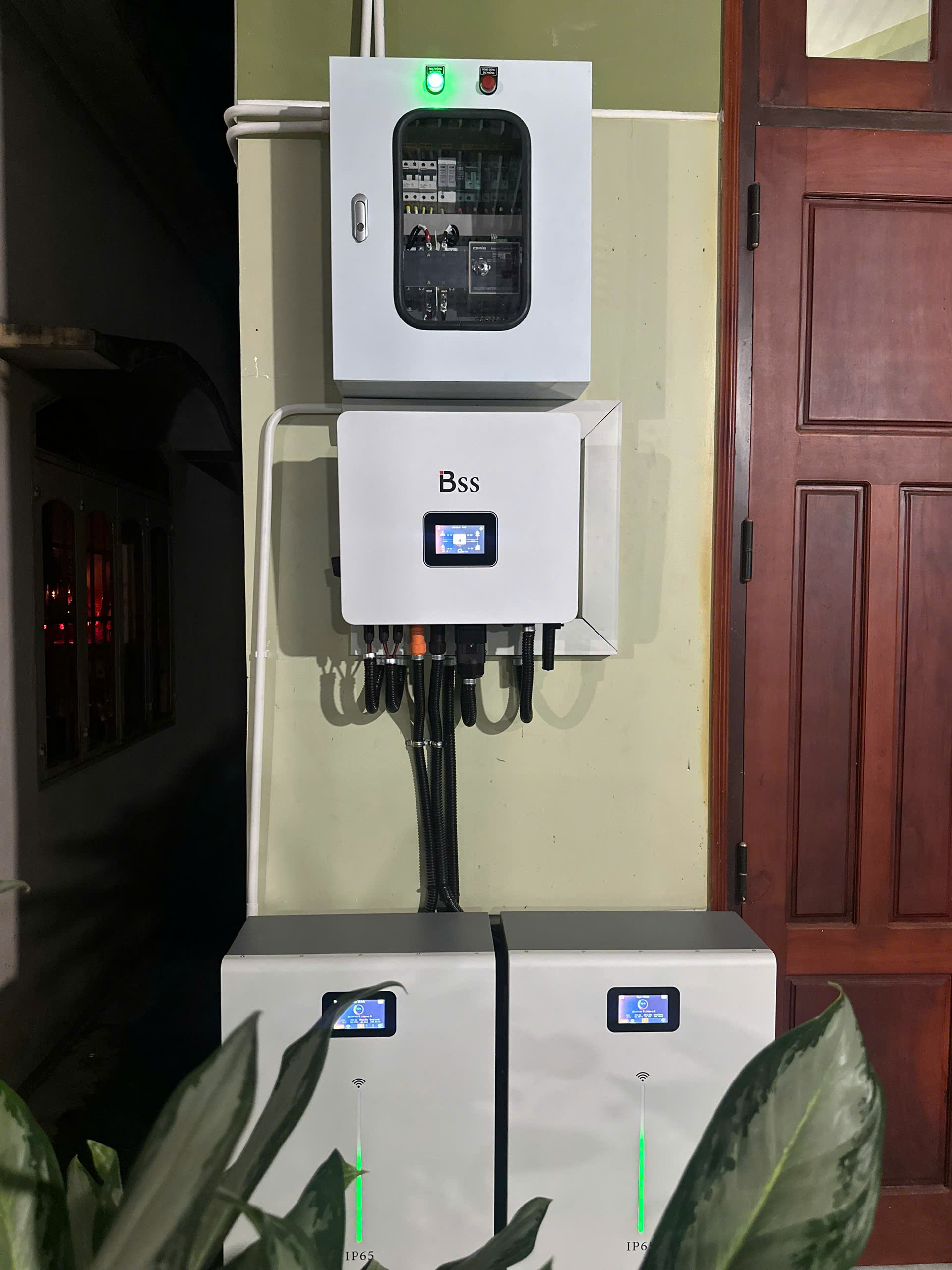 Ảnh thực tế