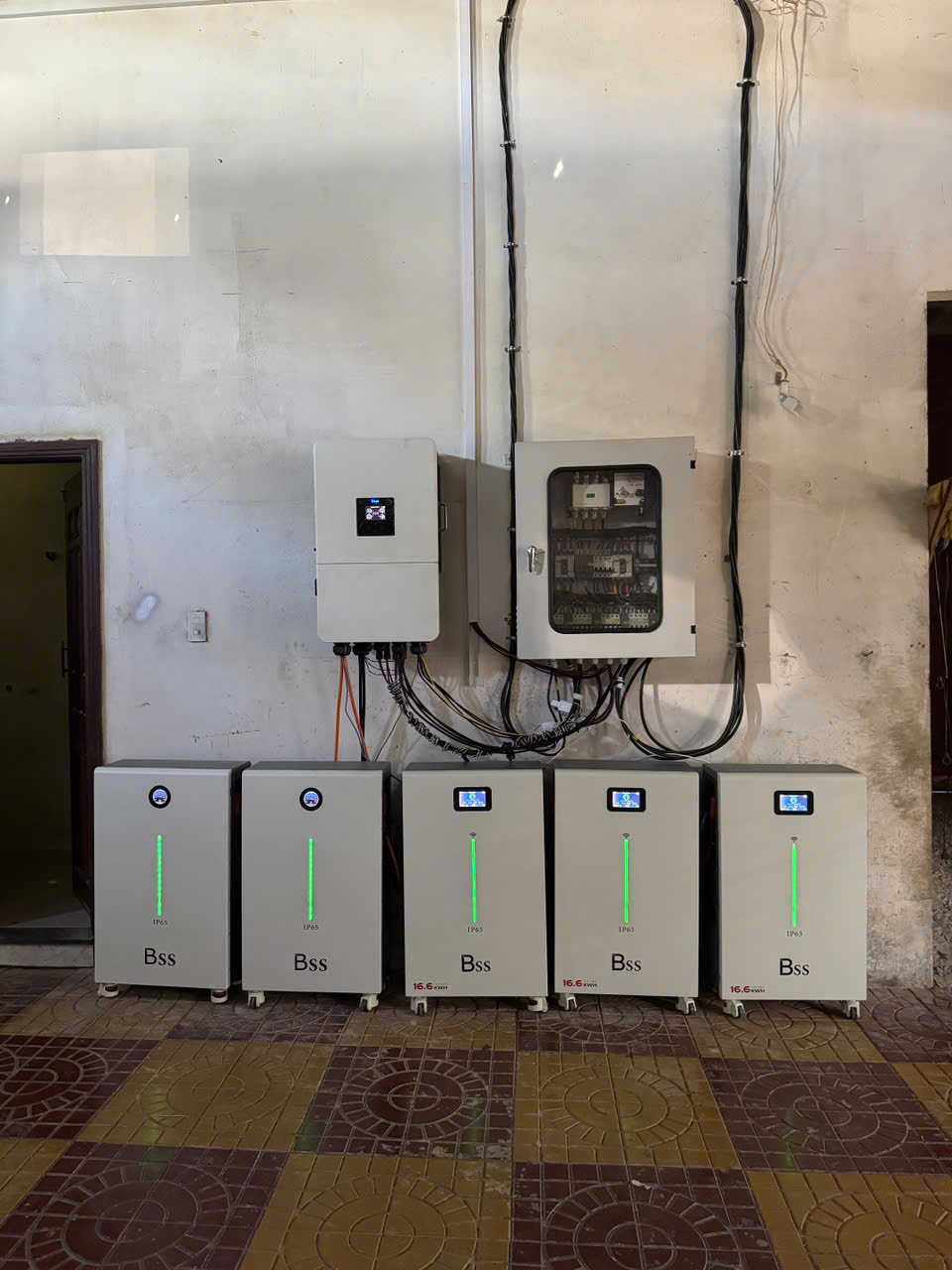 Ảnh thực tế